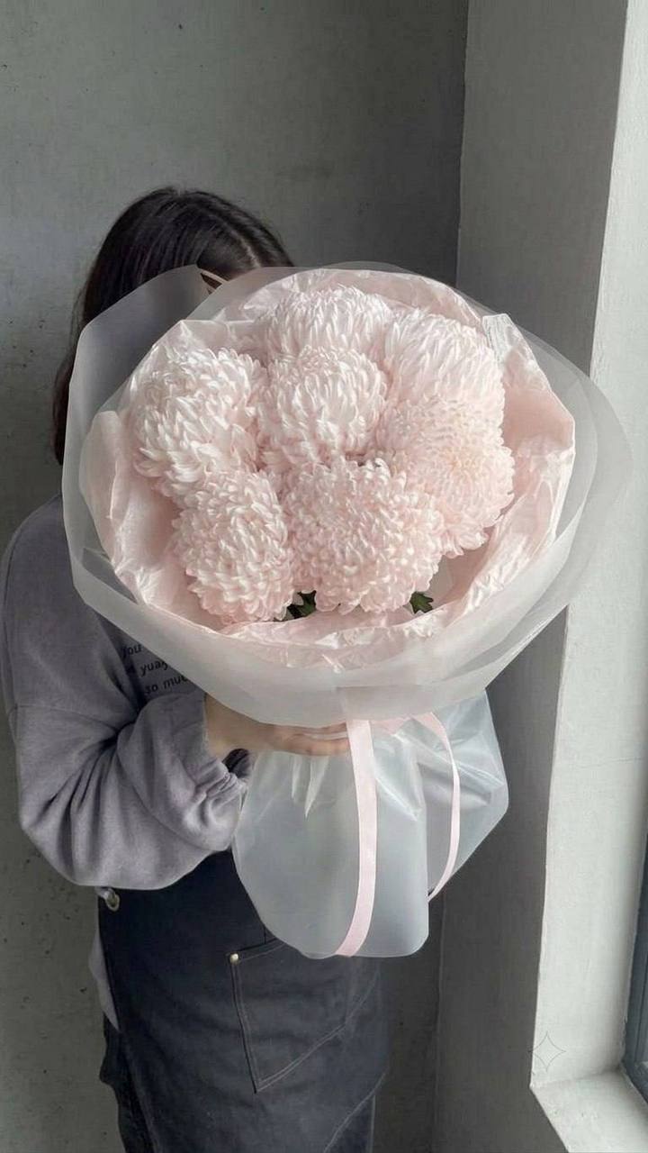 Моно-букет из 7 хризантем-бигуди 
